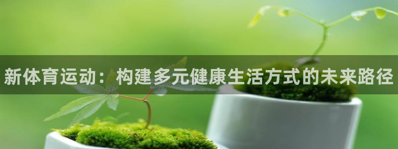 一竞技官方正版app娱乐代理怎么样：新体育运动：构建