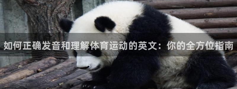 一竞技官方正版app娱乐下载：如何正确发音和理解体育
