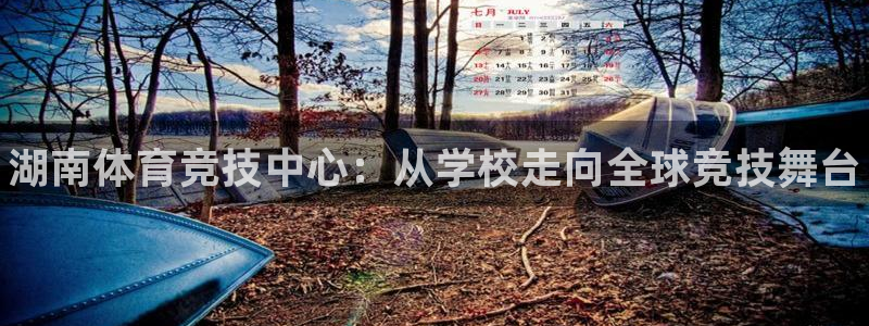 一竞技官方正版app集团：湖南体育竞技中心：从学校走