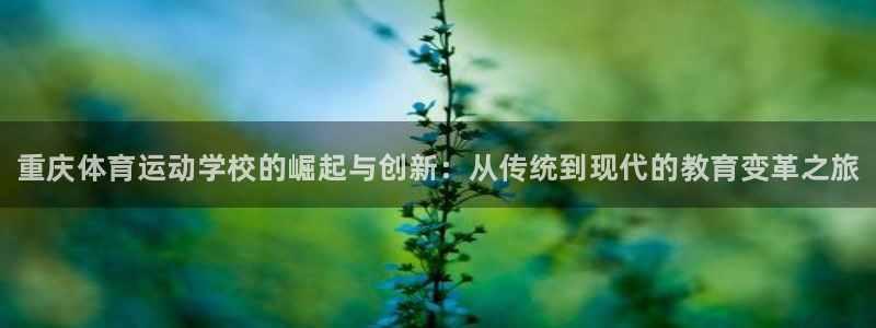一竞技官方正版app集团logo：重庆体育运动学校的