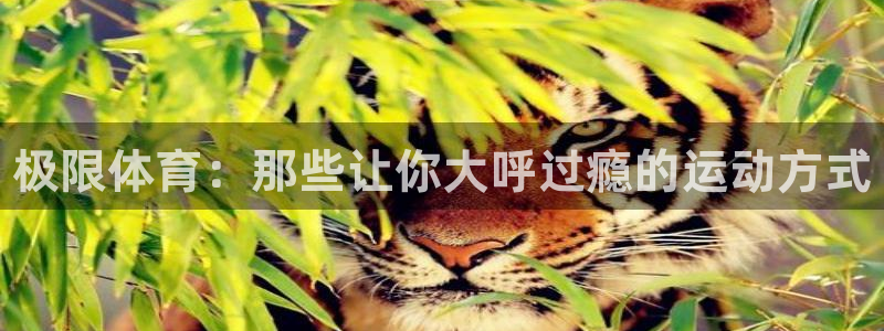 一竞技官方正版app娱乐首页官网下载：极限体育：那些