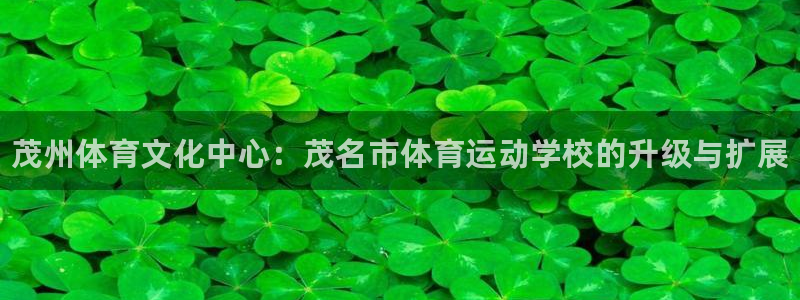 一竞技官方正版app新能源：茂州体育文化中心：茂名市