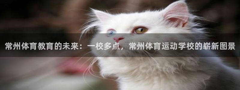 一竞技官方正版app官网：常州体育教育的未来：一校多
