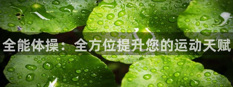 一竞技官方正版app集团官网首页网址：全能体操：全方