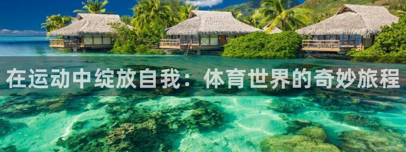 一竞技官网下载招商电话号码查询：在运动中绽放自我：体