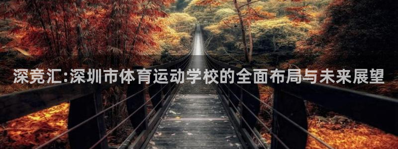 一竞技官网下载平台是正规平台吗知乎：深竞汇:深圳市体