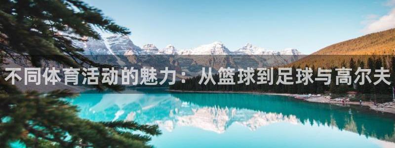 一竞技官网下载平台APP：不同体育活动的魅力：从篮球