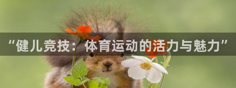 一竞技官网下载招商电话地址：“健儿竞技：体育运动的活