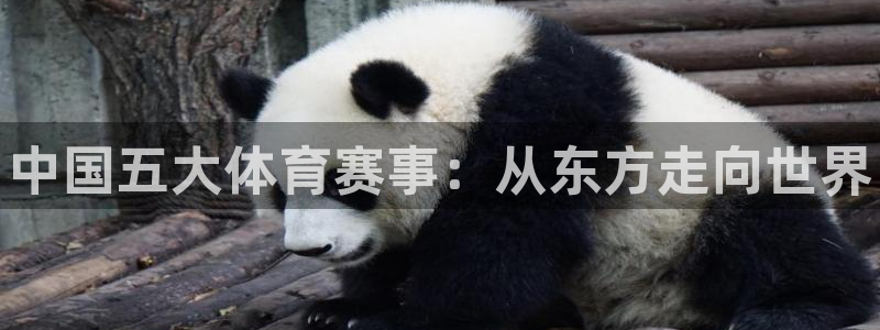 一竞技官方正版app娱乐40996：中国五大体育赛事
