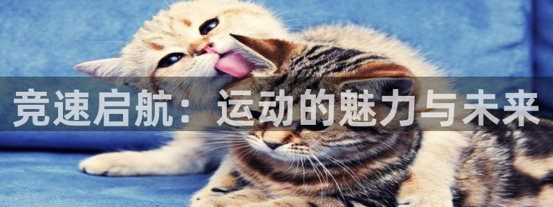 一竞技官方正版app娱乐：竞速启航：运动的魅力与未来