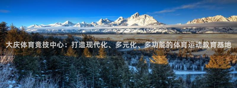 德国一竞技官方正版app集团：大庆体育竞技中心：打造