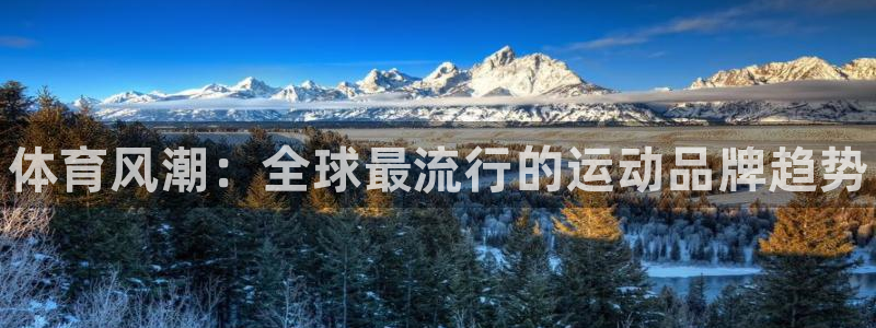 一竞技官方平台体育