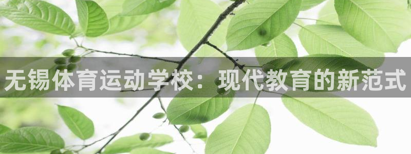 一竞技官方正版app科技：无锡体育运动学校：现代教育的新范式