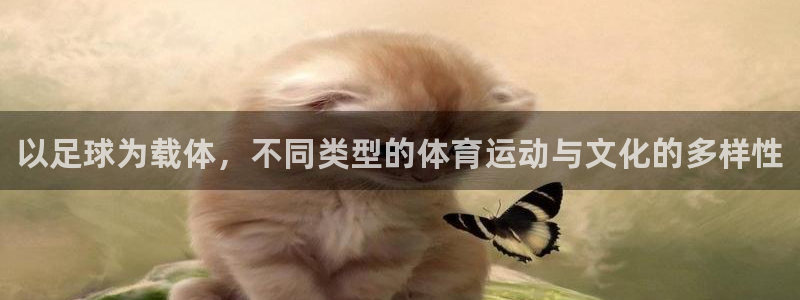 一竞技官方正版app集团logo：以足球为载体，不同类型的体