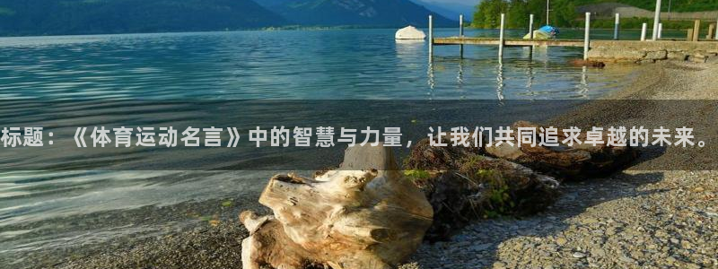 一竞技官方正版app集团官网首页网址：标题：《体育运动名言》