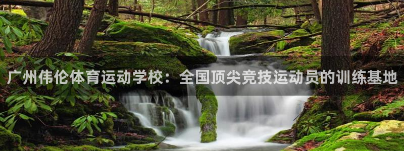 一竞技官网下载娱乐：广州伟伦体育运动学校：全国顶尖竞