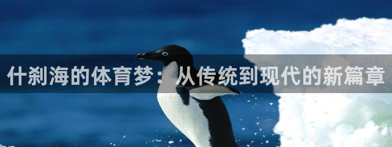 一竞技官网下载招商电话地址查询：什刹海的体育梦：从传