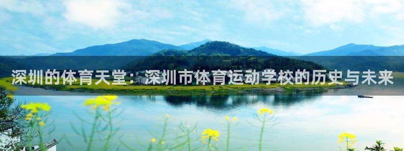 一竞技官网下载平台注册流程视频：深圳的体育天堂：深圳