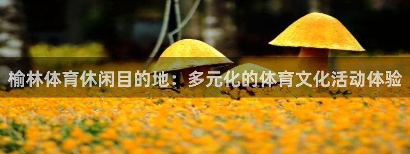 一竞技官方正版app五金厂