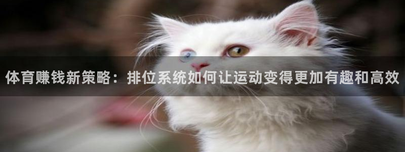 一竞技官方正版app代理：体育赚钱新策略：排位系统如何让运动