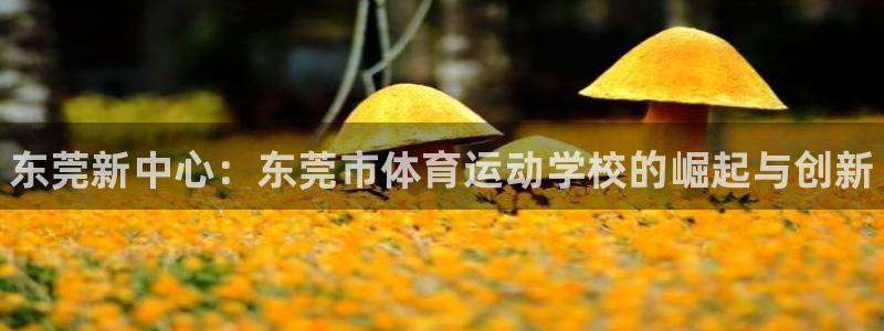 注册一竞技官方正版app：东莞新中心：东莞市体育运动