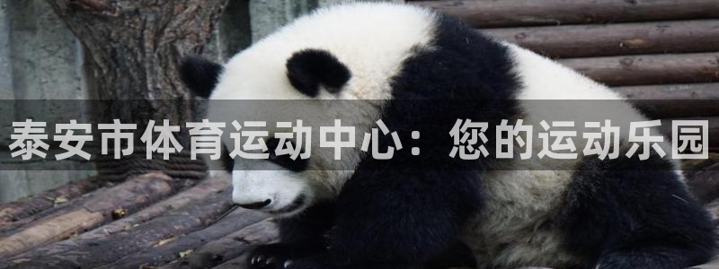 一竞技官网下载平台是正规平台吗安全吗：泰安市体育运动中心：您