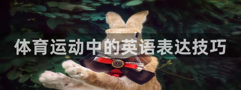 一竞技官网下载娱乐：体育运动中的英语表达技巧