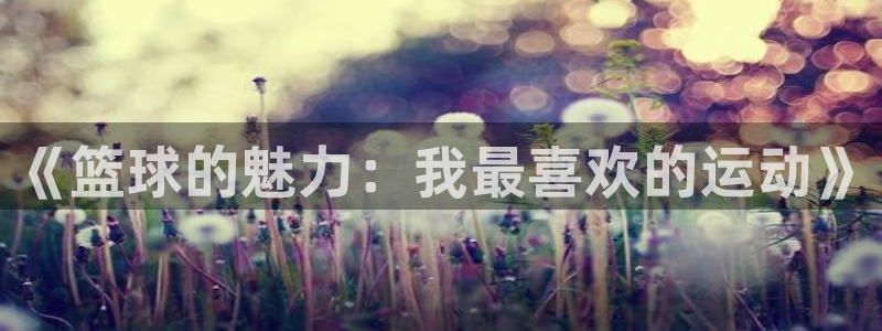 一竞技官网下载平台：《篮球的魅力：我最喜欢的运动》